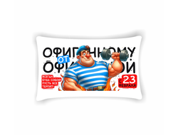 Подушка горизонтальная на 23 февраля №59