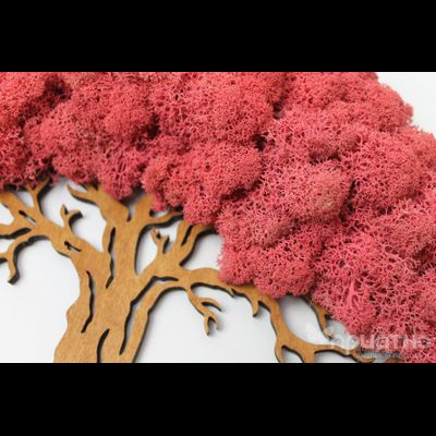 ЖИВАЯ ЭКО-КАРТИНА 1024