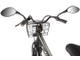 Электровелосипед GREEN CITY e-ALFA Trike