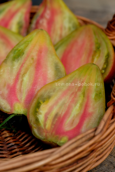 Томат Пленительное Сердце, 10 шт