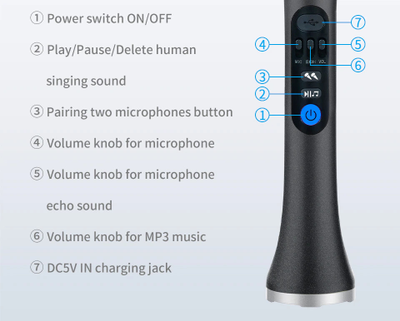 Профессиональный караоке-микрофон  L-899DSP  30w