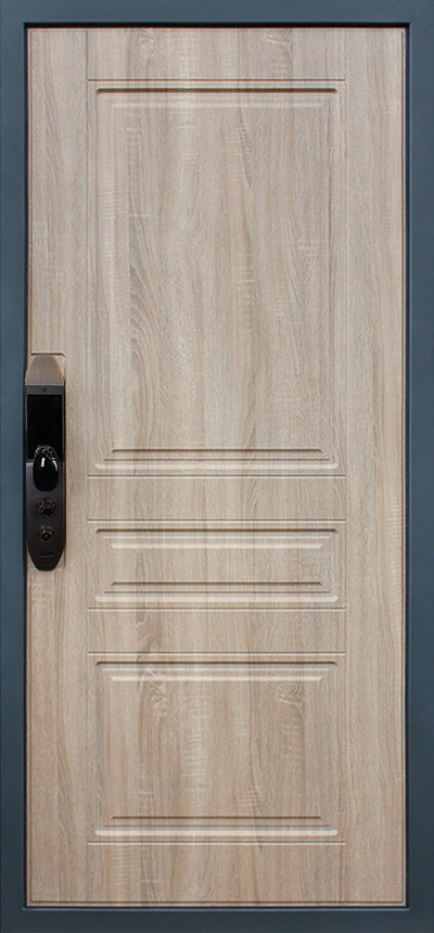 Стальная дверь   Mix. Заказная модель.