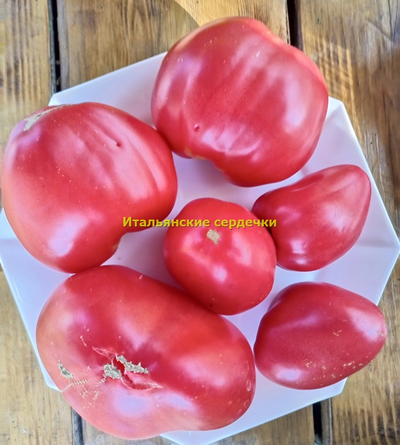 Томат Итальянские сердечки