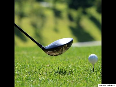 Рулонный газон Спортивный