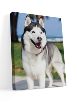 Печатная картина на деревянном подрамнике "Арктический друг" 50х40 см.