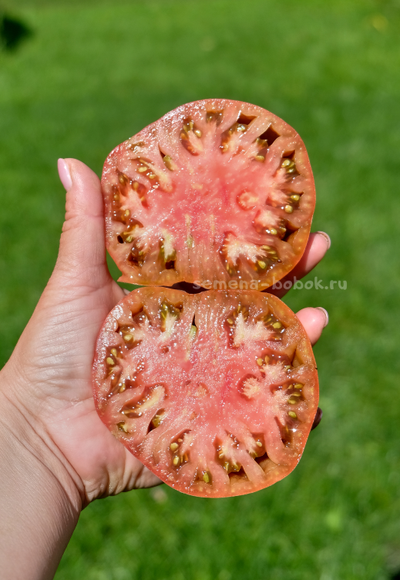 Томат Черное с Носиком от Борисовны, 10 шт