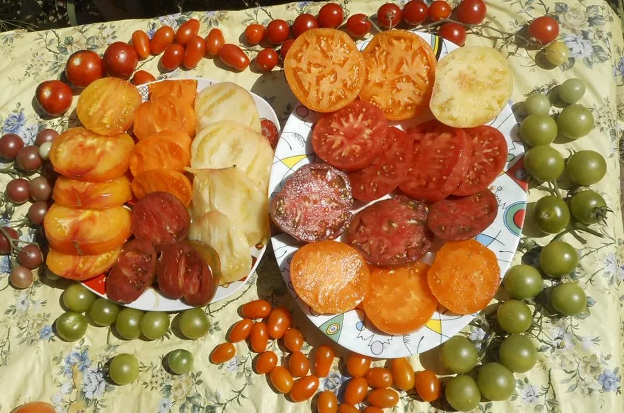 нарезка томатов и черри