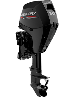 Mercury F 30 ELPT EFI