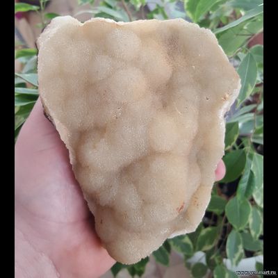 Кальцита, сферолиты на окисленной породе. Россия. 140*100*96мм