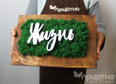 ЖИВАЯ ЭКО-КАРТИНА 1045