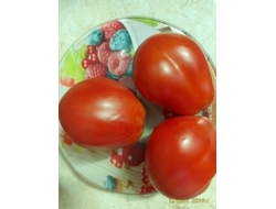 Томат Бычье сердце Ревьера