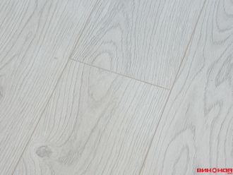 Сосна Снежная