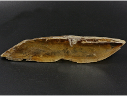 Гипс, кристалл, Россия, Ставропольский край (86*17*10 мм, 22 г) №29488