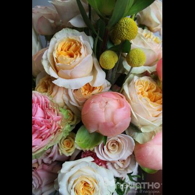 ЦВЕТОЧНАЯ КОМПОЗИЦИЯ № 144