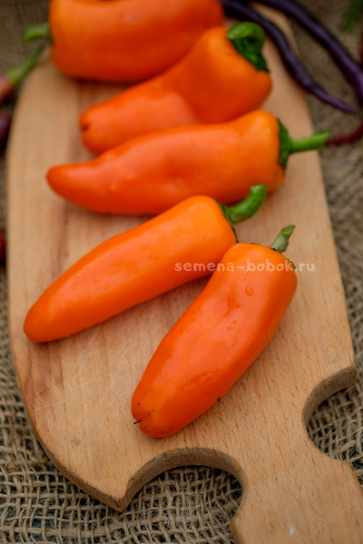 Перец сладкий Апельсин, 10 шт