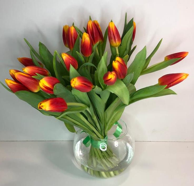 Букет из желтых/красных/белых/розовых/МИКС крупных тюльпанов 51 шт.