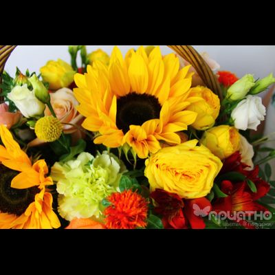 ЦВЕТОЧНАЯ КОМПОЗИЦИЯ № 117