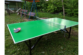 НАСТОЛЬНЫЙ ТЕННИС