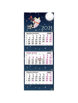 Календарь Полином на 2021 год 290x140 мм (Символ года)