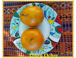 Томат Гном Улуру охра (Dwarf Uluru Ochre), США, Австралия