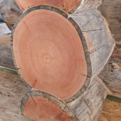 Бревно КЕЛО для изготовления срубов 24-44 см