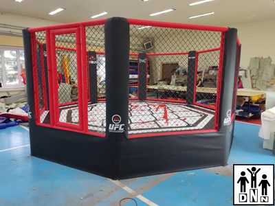 Восьмиугольный ринг (Октагон) на помосте (диаметр 6 м, высота помоста 0.5 м) DNN