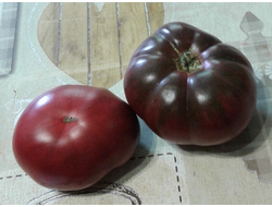 Семена томата Черный Крым