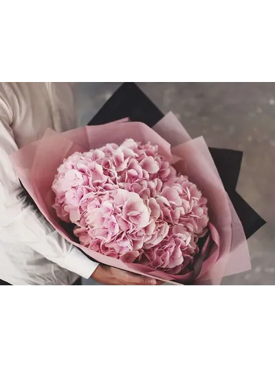 5 розовых гортензий