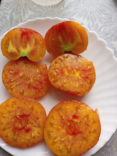 Томат Олимпийский огонь