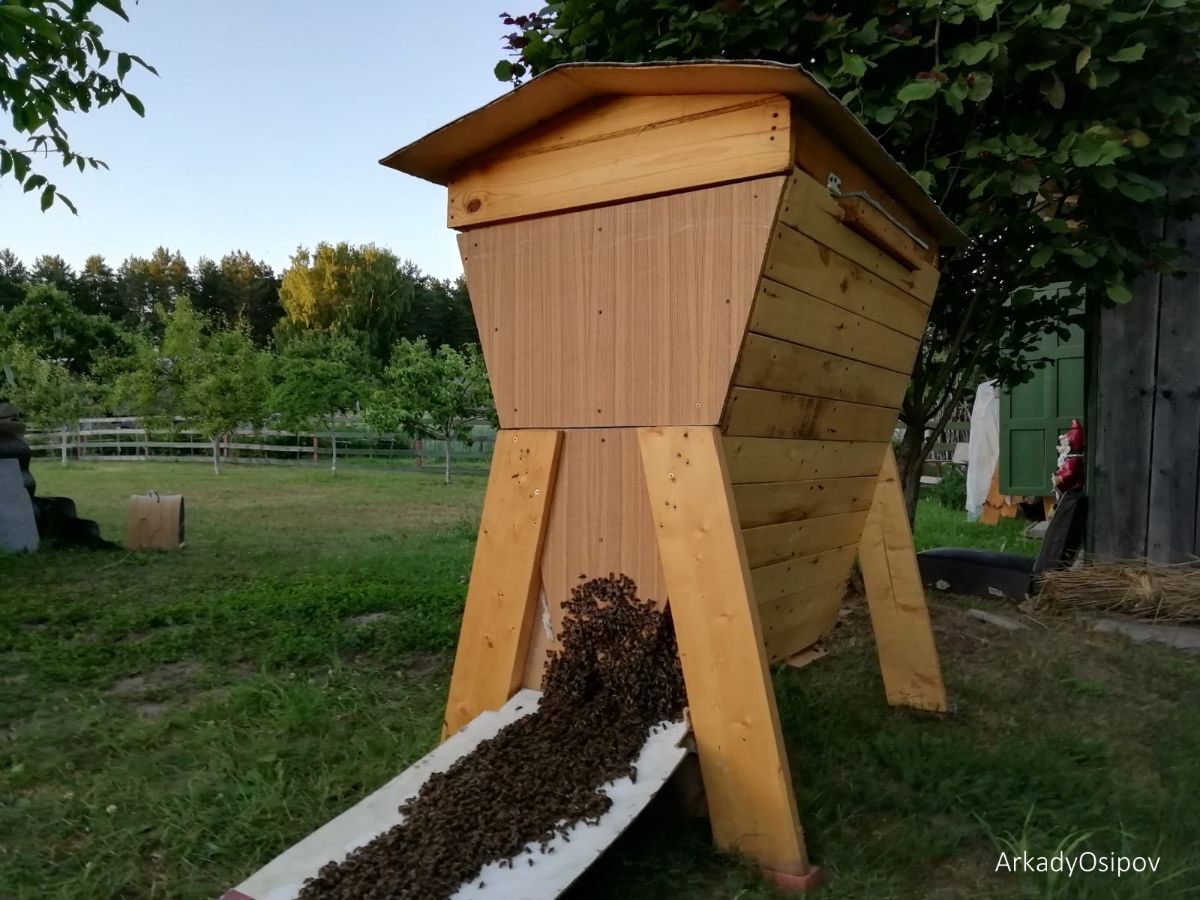 Улей для пчел по Природоподобным Технологиям
