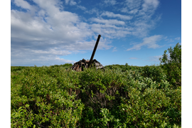 Артиллерия Рыбачьего