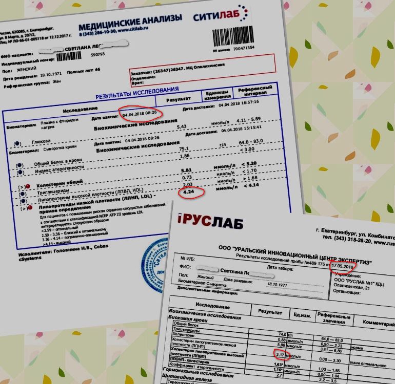 Почта ситилаб. Ситилаб саранск. Заявка на звонок ситилаб. Почта ситилаб. Заявка на звонок ситилаб.