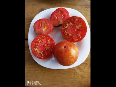 Томат Озарк закат (Ozark sunset), Германия