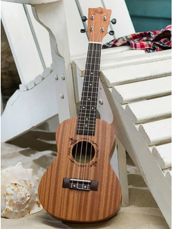 ukulele-guitarlele