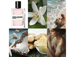 Zadig et Voltaire This is Her Undressed