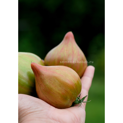 Томат Волшебная Радуга, 10 шт