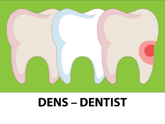 DENS – DENTIST