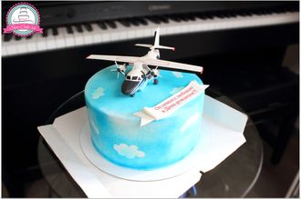 Торт с самолётом