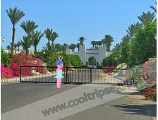 Sharm Plaza 5*
