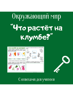 Рабочий лист. 1 класс. "Что растёт на клумбе?"