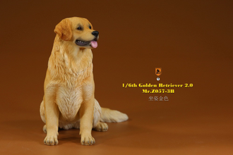 Золотистый ретривер (сидящий) - Коллекционная ФИГУРКА 1/6 scale Animal Model Golden Retriever 2.0 (MRZ057-3B) - Mr.Z