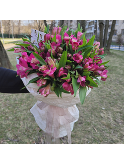 Букет из Альстромерий, 25 шт.