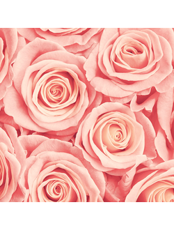 Фотопанно Flizelini 3031-3F Розовые розы