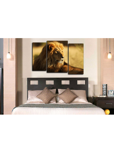 Модульная картина "Взгляд короля Саванны"