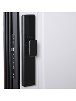 Стальная дверь   Plata (биометрический замок Smart Lock Y12)