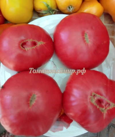 Томат Микадо розовый