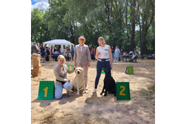 МКОО  МИРД-22 Эксперт Соколова Лидия  CW JCAC ЮЧФ ЛЮ /BOB junior ЛПП/BOB
МКОО АТЛАНТИДА-22 Эксперт Ирина Трифонова  CW JCAC ЮЧФ ЛЮ /BOB junior ЛПпп/BOS
МКОО ОРФЕЙ-22 Эксперт Инесса Родина  CW JCAC ЮЧФ ЛЮ /BOB junior ЛПпп/BOS
