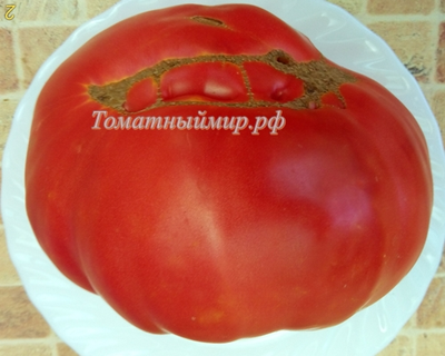 Томат Клеота розовая (Cleota Pink) США