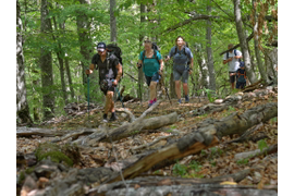 Индивидуальный семейный, одиночный поход по Крыму