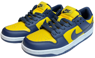 Nike Air Force 1 SB Dunk Low Michigan